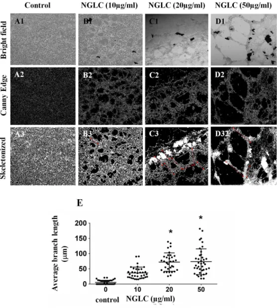 Fig 2. Influence of the concentration of nanocrystalline glass-like carbon (NGLC) microflakes on cell growth