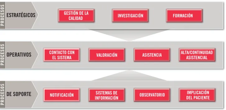 FIGURA 1 /  MAPA DE PROCESOS