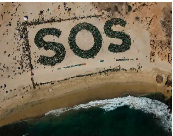 Figura 13. Campaña S. O. S. 