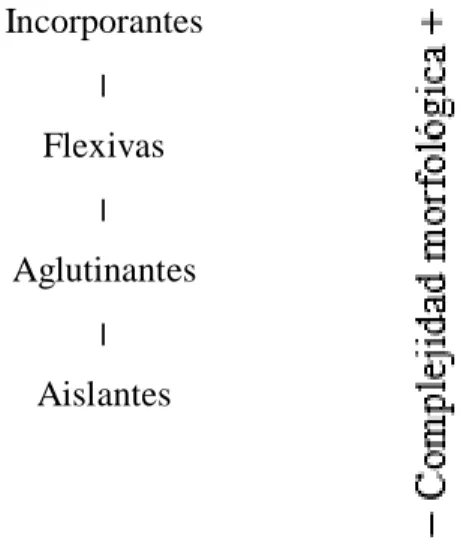 Figura 2. Complejidad morfológica según Schleicher.Fuente: Santazilia, 2012 