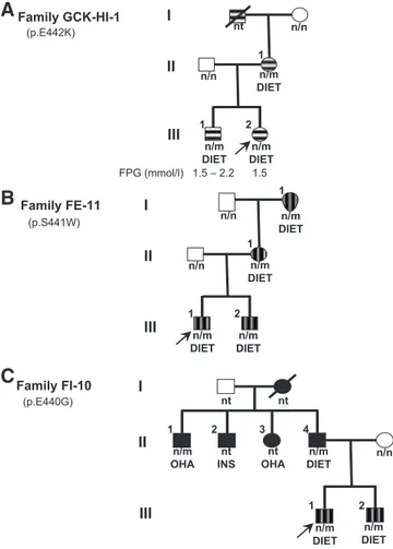 FIG. 1. Family trees of families GCK-HI-1, FE-11, and FI-10. Patients