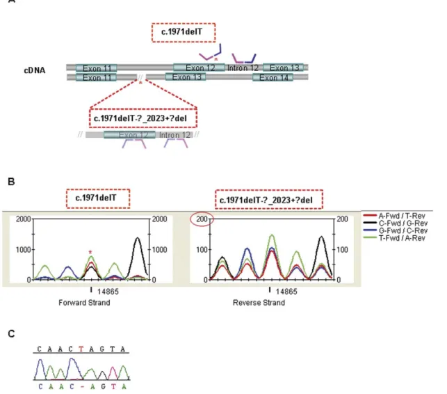 Figure 2. Mutations identified in the RP 234 family using several detection approaches