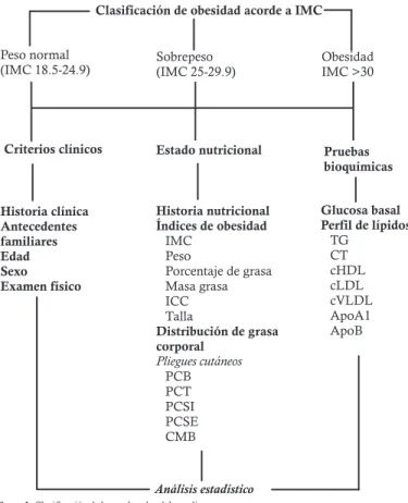 Figura 1. Clasificación de los probandos del estudio.