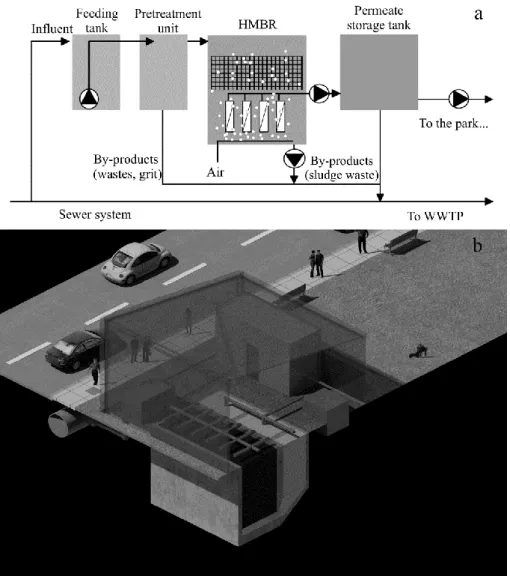 Figure 2. (a) Hybrid Membrane Bioreactor-Sewer Mining (HMBR-SM) facility scheme and  components, and (b) a graphic visual representation of a possible HMBR-SM facility  implementation