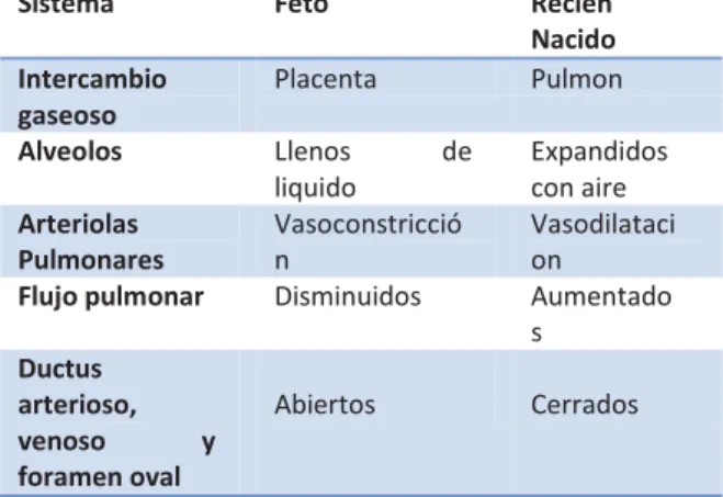 Cuadro 2 Factores endógenos responsables  del cambio  de una funcion pulmonar. 