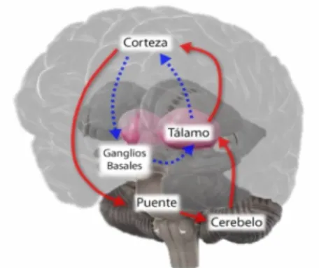 Cuadro clínico