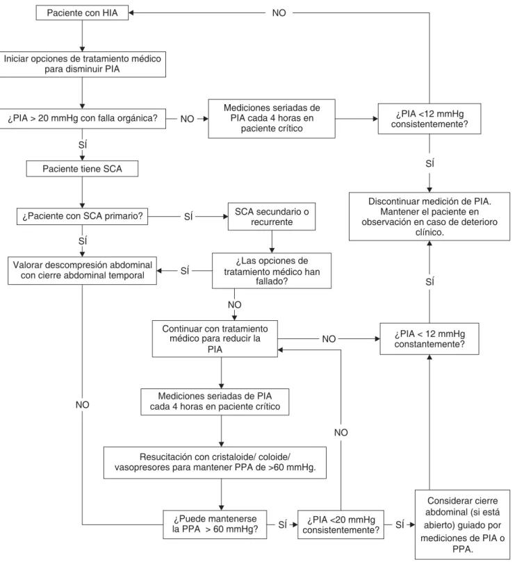 Figura 2.  Algoritmo terapéutico del síndrome compartamental abdominal.