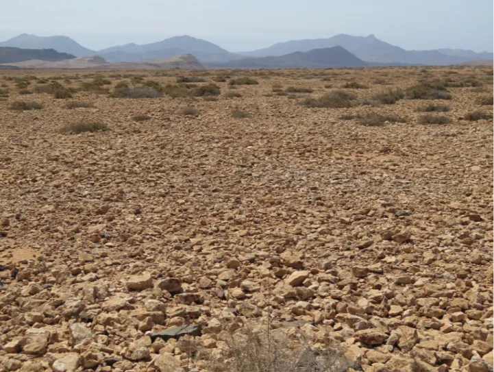 Foto 2. Espacio no agrícola, erial en Fuerteventura. 