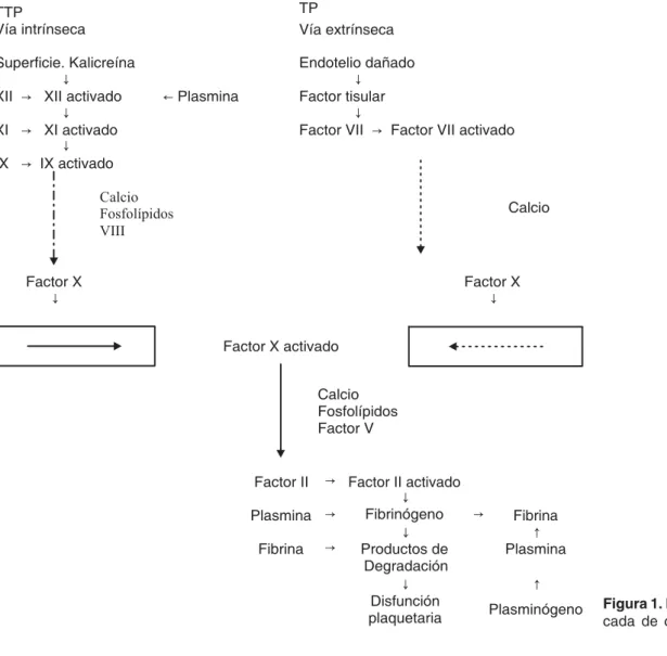 Figura 1. Esquema de la cas-