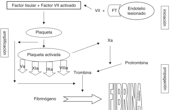 Cuadro V. Pruebas de coagulación.