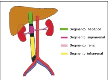 Figura 1. Muestra los diferentes segmentos en que se di-