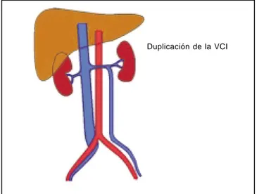 Figura 3. Se demuestran