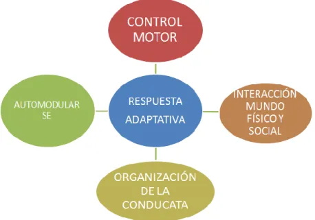 Gráfico 3- Elaboración propia a partir de las ideas de Ayres . 