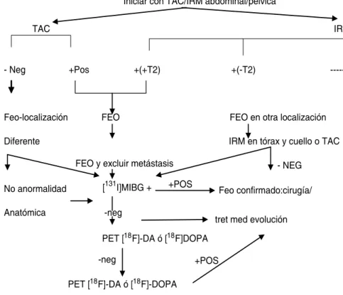 Figura 1. Feocromocitoma bioquímicamente 