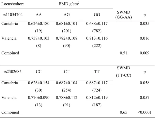 Table 3. Association of LRP6 genotypes with BMD in the discovery and replication cohorts  and combined estimate of effect