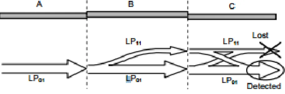 Figure 1. Schematic of MPI with a fiber jumper 