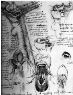 Figura 8. Leonardo da Vinci.