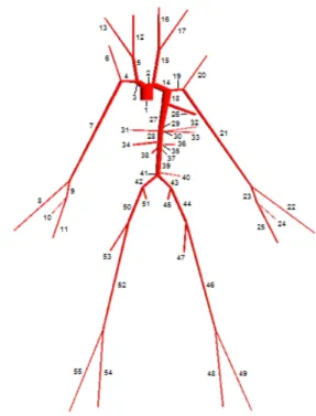 Figura 1 . Árbol arterial con 55 segmentos. La imagen fue obtenida con el código STARFiSh [15].