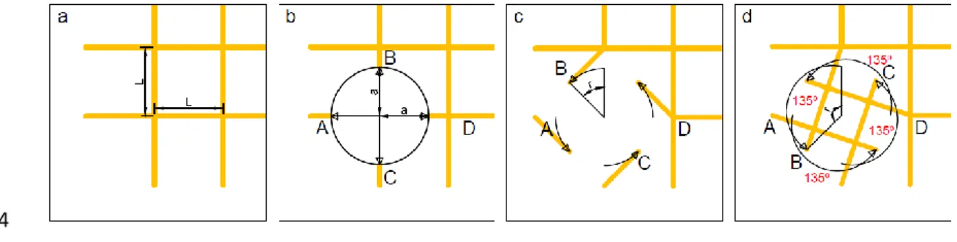Figure 4. Two options for the evolution of cables of top layer during Rot-Umbela on DLTG 4 4 -Be1-Te1
