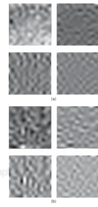 Figure 3. Tree representation of a two-level 2-D wavelet 