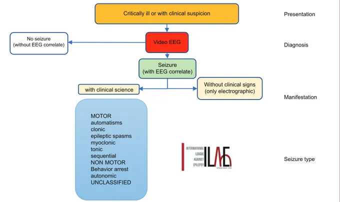 Figure 3.  Diagram of the proposed classification for seizures in the newborn.Critically ill or with clinical suspicion