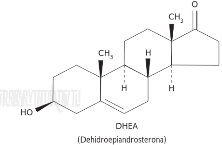 Figura 1. Estructura de la dehidroepiandrosterona.