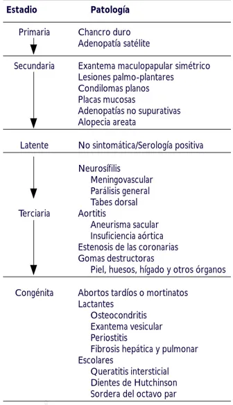Figura 1. La sífilis temprana no tratada, primaria y secunda- secunda-ria, es por definición contagiosa, pero la fase terciaria o tardía no es transmisible, aunque con técnicas de investigación molecular puede demostrarse T