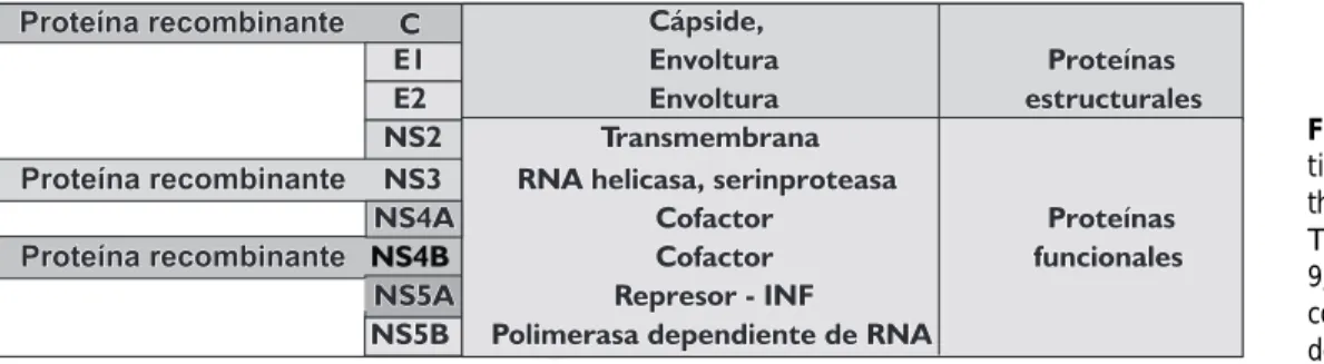 Figura 1. Caracterís-