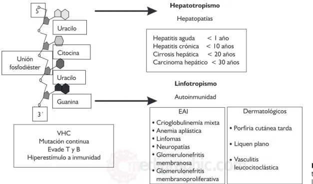 Figura 2. His-