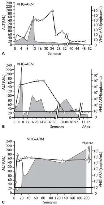 Figura 2. Infección con virus de la hepatitis G (VHG) en tres