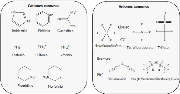 Figura 1.5. Cationes y aniones más utilizados. 