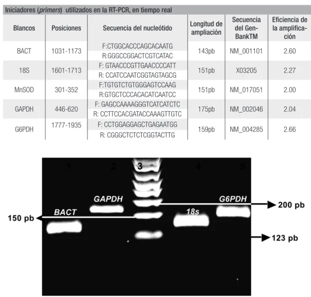 Tabla 1. Secuencia de los primers que se usaron en la RT-PCR.