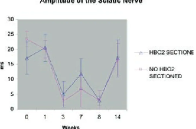 Figure 2. Although no statistically signiﬁcant difference existed 