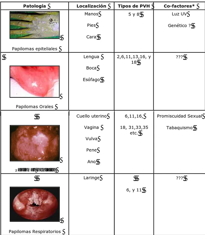 Tabla 1. Patologías causadas por el Virus del Papiloma Humano