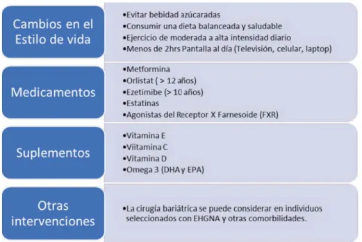 Figura 2. Formas de Intervención