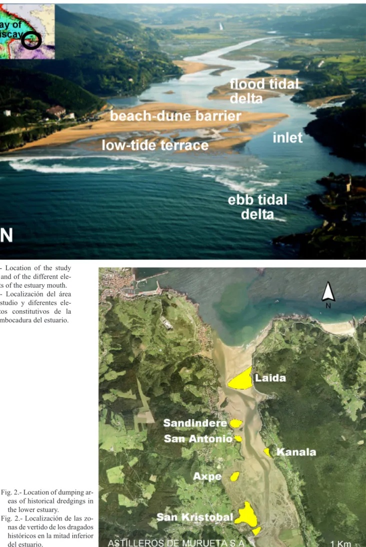 Fig.  1.-  Location  of  the  study  area and of the different  ele-ments of the estuary mouth