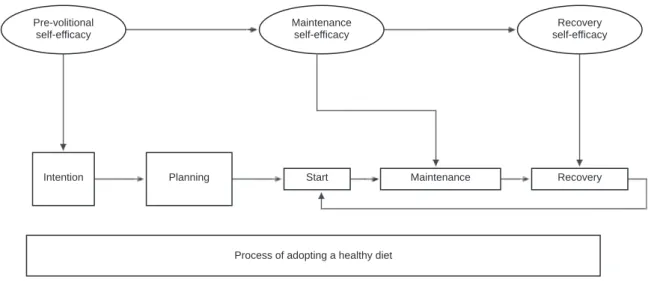 Figure 1. Process of adopting a healthy diet. Adapted from  Schwarzer &amp; Gutiérrez-Doña (2009)  p