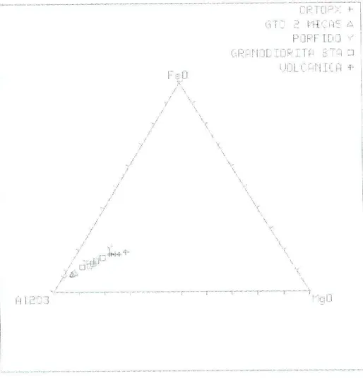 Figura 4.1.3. Diagraina AFM