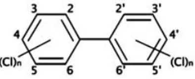 Figura 1. Estructura química básica de los PCB. Los números 2-6 y 2'-6' representan posibles posiciones del átomo de cloro dentro de cada anillo bencénico
