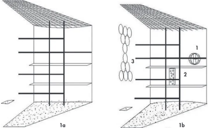Figura 1. Esquema de la jaula. 1a. Condiciones de la jaula en la 