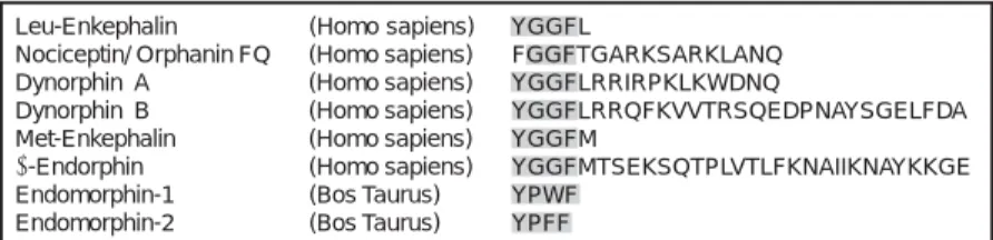 Figure 1. Representative structural features of active opioid peptides in the CNS of mammals