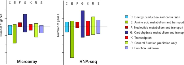 Figure 1. Histogram showing the distribution of regulated genes in COG categories. Bar height is proportional to the number of genes in each category, each vertical mark representing ten genes