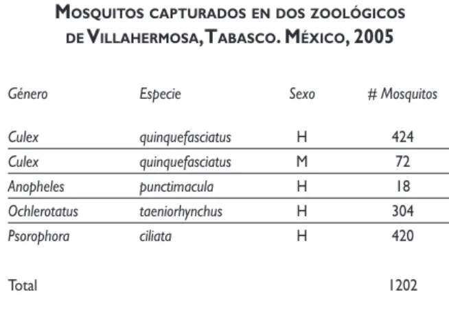 Cuadro IV