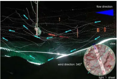Figura 2.112. Visualización del viento longitudinal en el modelo de la estructura 
