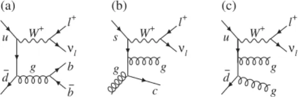 FIG. 8. Some representative diagrams of W þ jets production. Wc c is the same process as Wb  b, but with charm quarks replacing the b quarks.