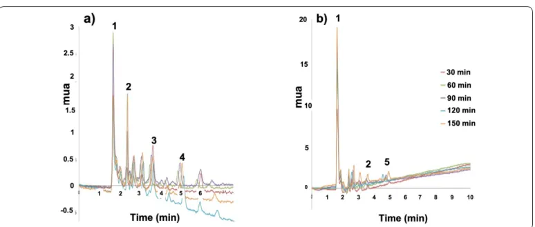 Figure 3 Phenolic compounds profile (HPLC-DAD) of guava (a) and soursop (b) pulp digestion fractions