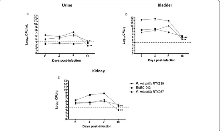 Figure 2. Colony forming units (CFU) in urine and urinary organs during infection. Colony-forming unit counts in urine (a), bladder (b) and  kidney (c) of mice infected with P