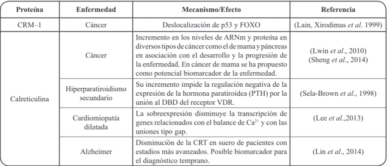 Tabla III. La CRM–1 y la Calreticulina en procesos fisiopatológicos.