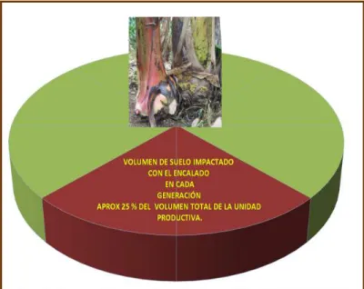 Figura 11 . Volumen de suelo impactado por el encalado durante una  generación en el cultivo del banano