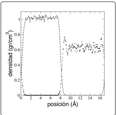 Figura 1. Perfiles de densidad del sistema en coexistencia  líquido-líquido para la mezcla binaria agua–n-pentano  a 298.15 K y a 1 atm